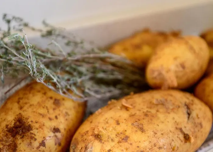 Poolvilla With Oceanview Вілла