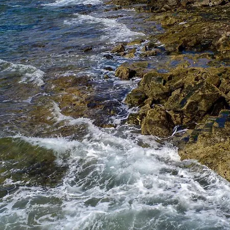 Poolvilla With Oceanview 普拉亚布兰卡