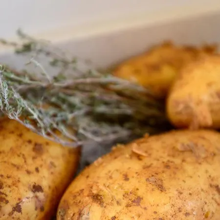 Poolvilla With Oceanview 别墅